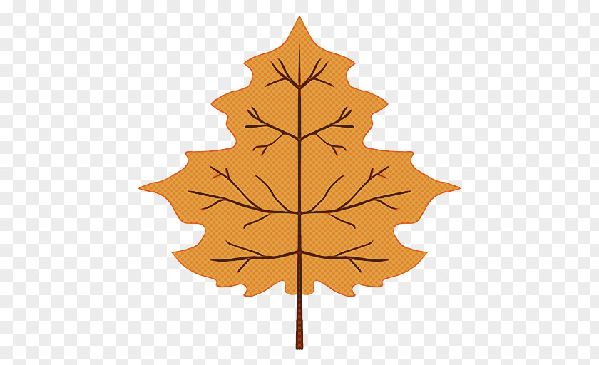 Maple American Larch Leaf PNG
