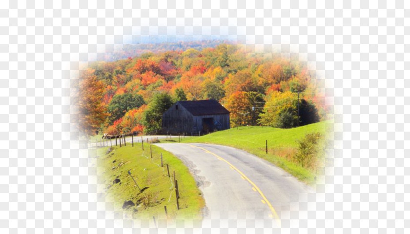 Road Views Chapters And Verses Of The Bible Cades Cove Matthew 16 PNG