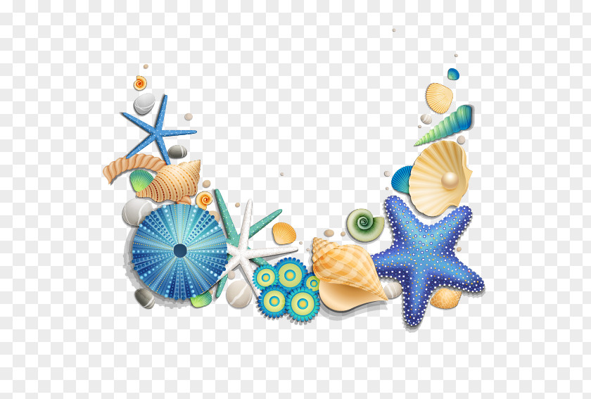 Blue Starfish And Shells Seashell Download PNG
