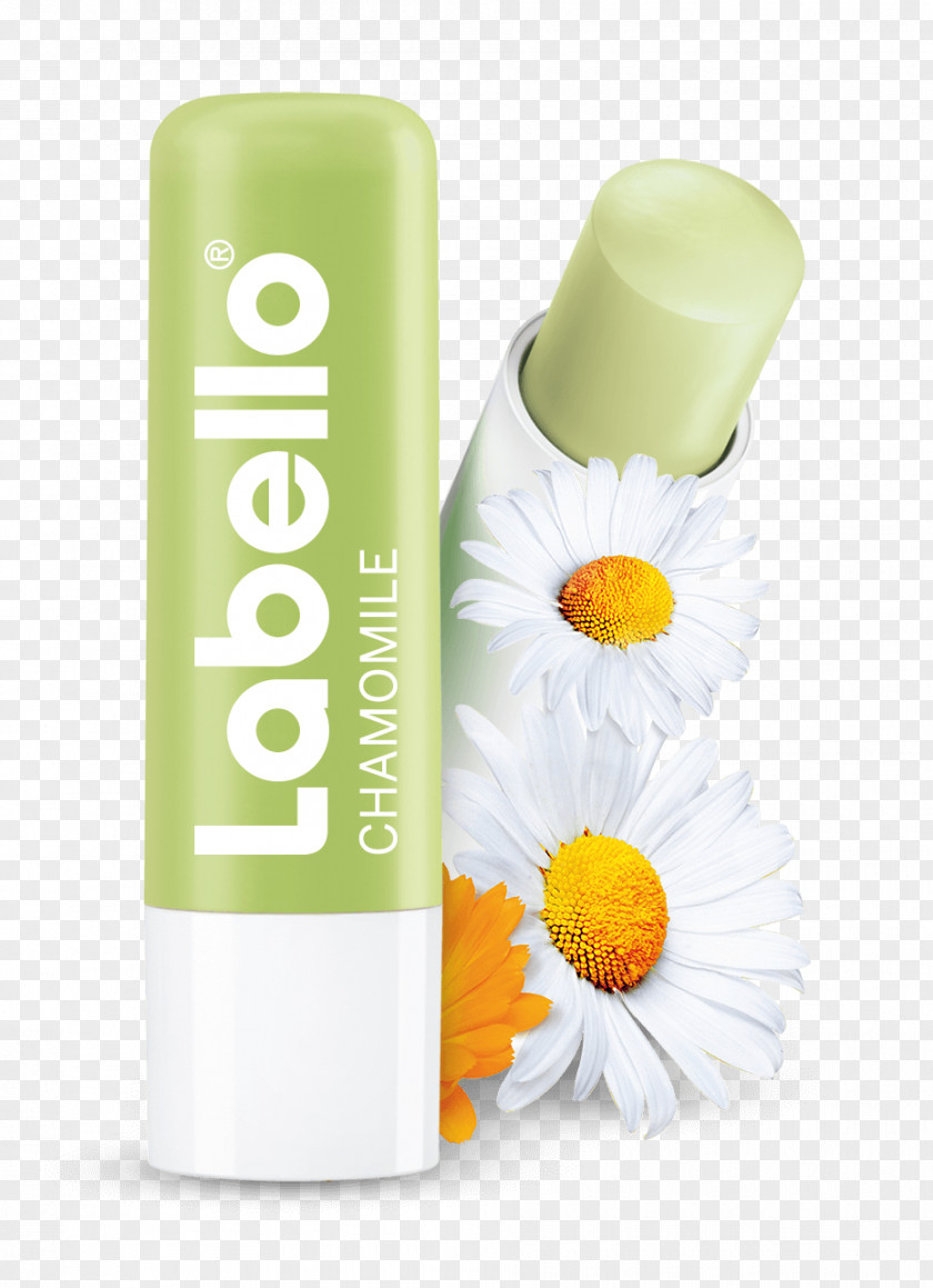 Calendário Lip Balm Labello Beiersdorf Nivea PNG