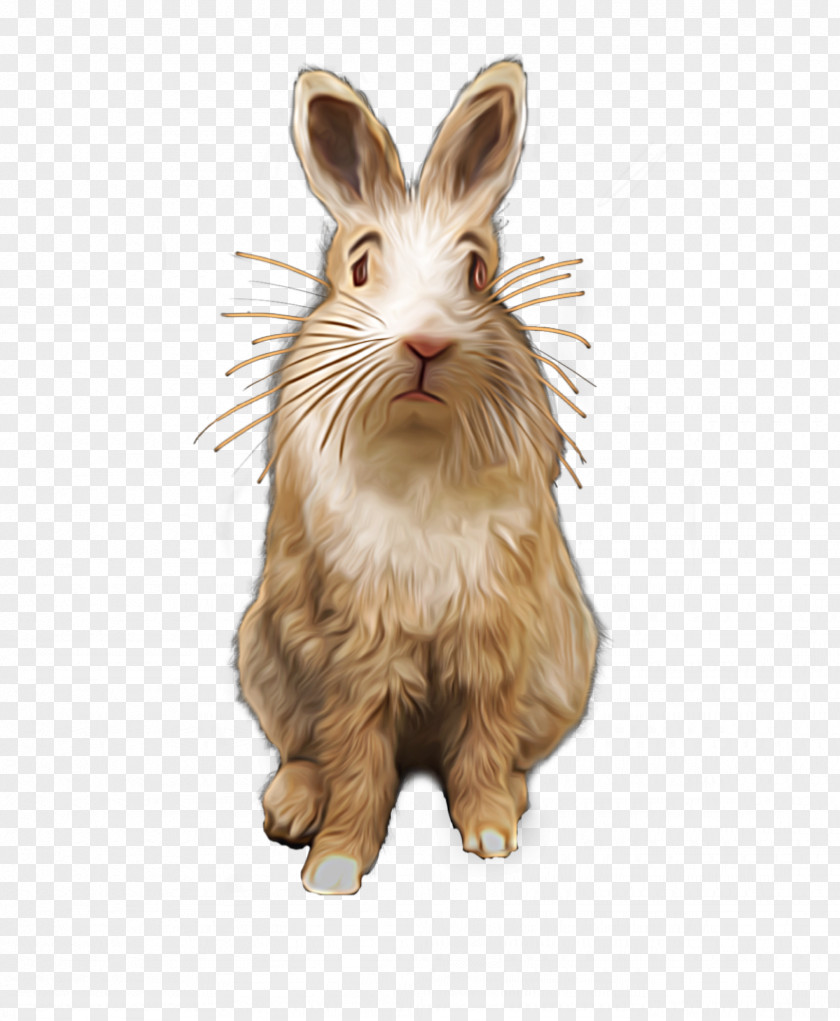 Creative Fig. Domestic Rabbit Hare Whiskers Art PNG