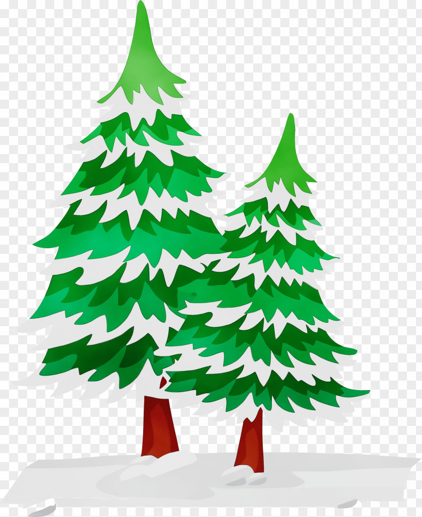 Fir Pine Christmas Tree PNG