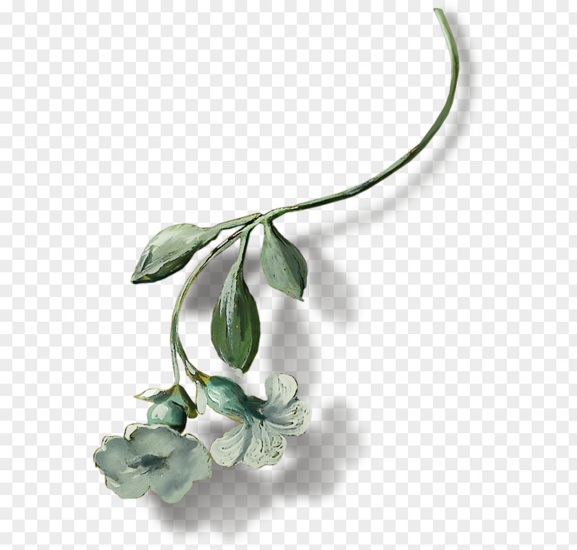 Flower Cantina Library Plant Stem Clip Art PNG