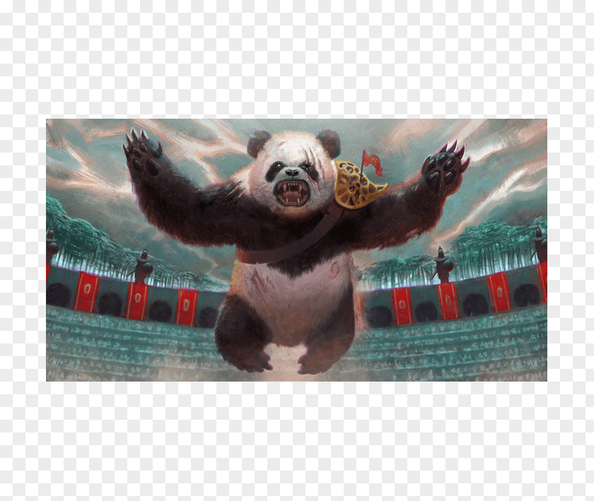 Monkey Fauna Bear Card Game Snout PNG