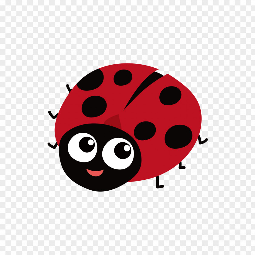 Red Black Ladybug Insect Ladybird PNG