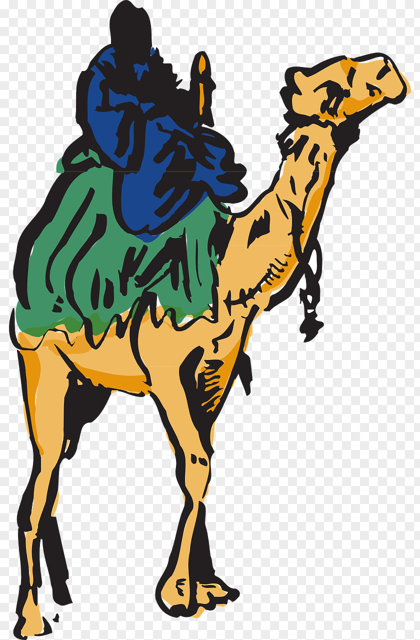 Camel Cama Clip Art PNG