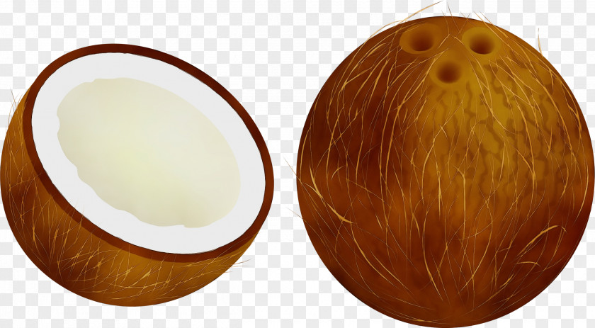 Hair Coloring Wood Coconut PNG