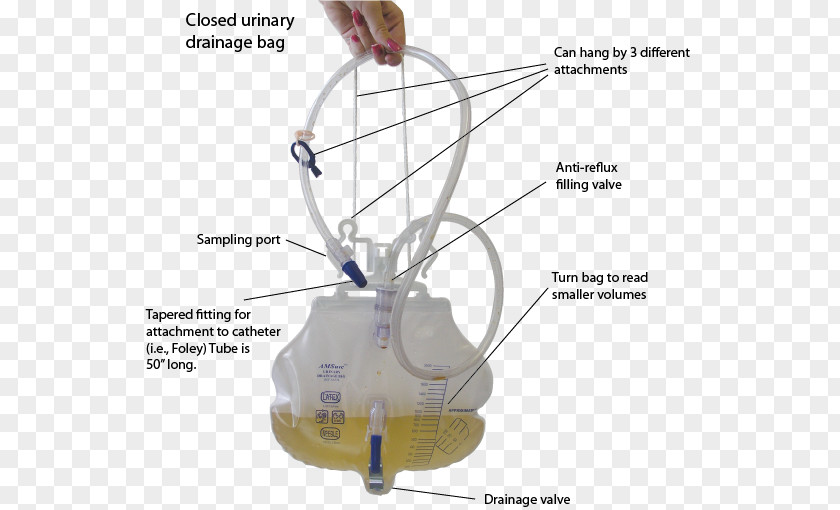 Opposite Of Transparent Urine Collection Device Foley Catheter Urinary Catheterization PNG