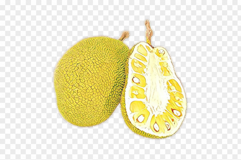 Oval Ornament Fruit Cartoon PNG