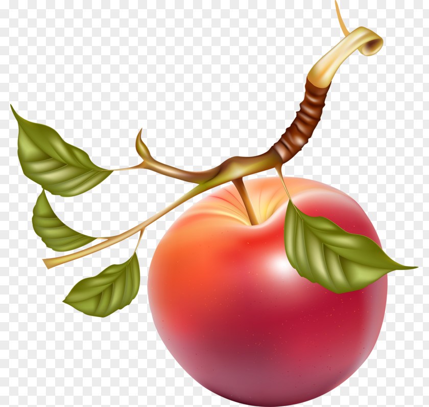 A Red Apple Juice Fruit Clip Art PNG