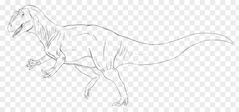 Allosaurus Tyrannosaurus Line Art Book Cover Sketch PNG