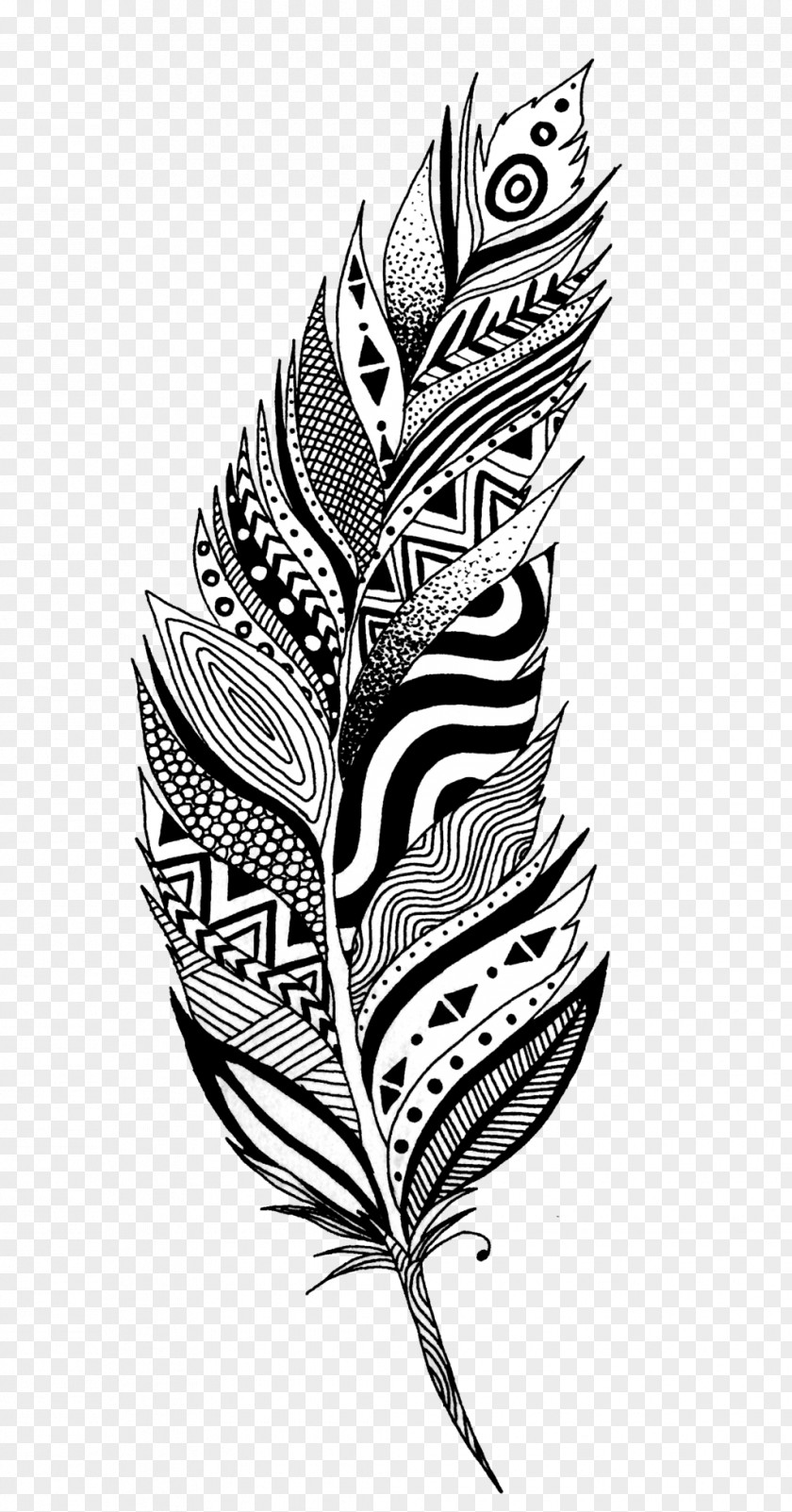 Black And White Feather Drawing Clip Art PNG