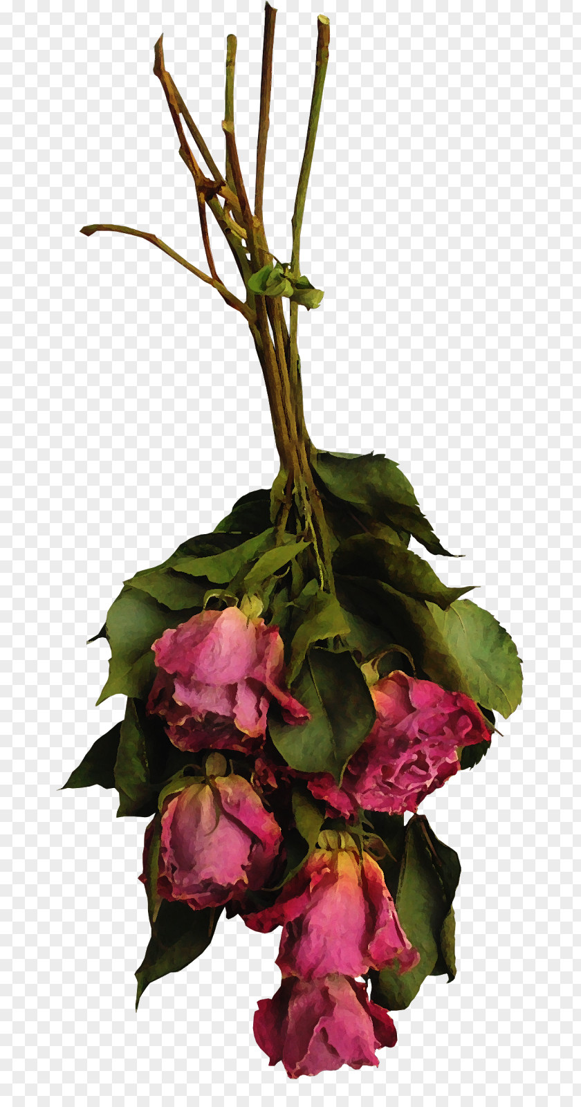 Dried Flowers Floral Design Cut Rose Flower Bouquet PNG