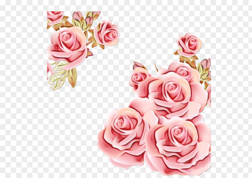 Floristry Camellia Watercolor Pink Flowers PNG