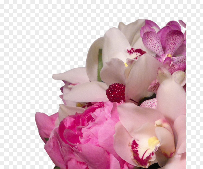 Flower Floral Design Bouquet Cut Flowers Peony PNG