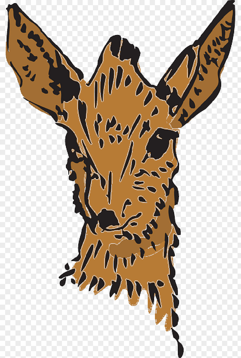 Forest Animal Clip Art Drawing Image Illustration PNG