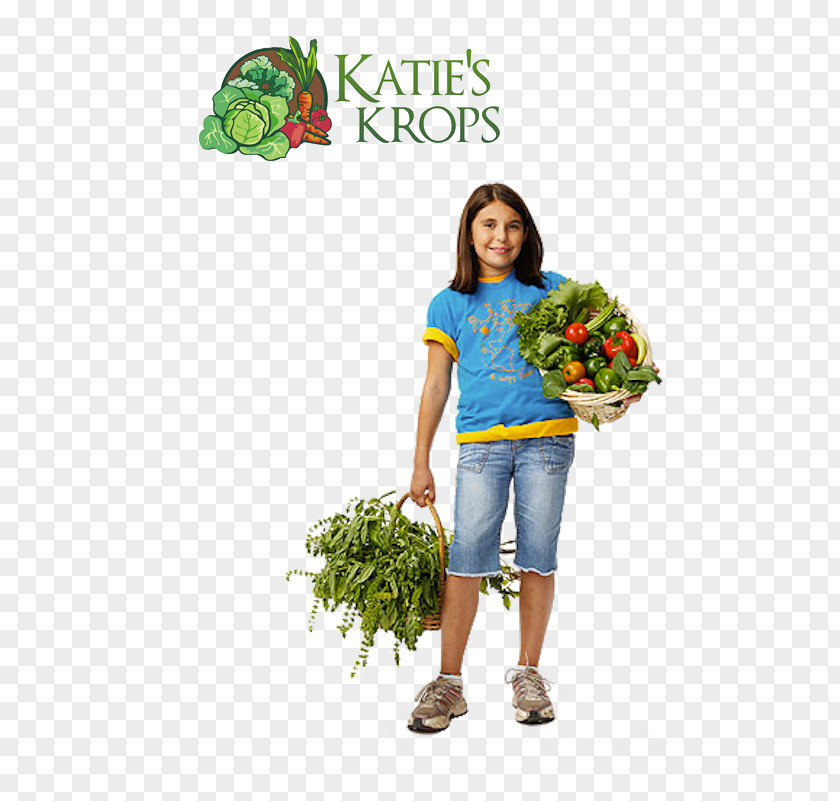 People Garden Katie's Cabbage T-shirt Book Plant Human Behavior PNG