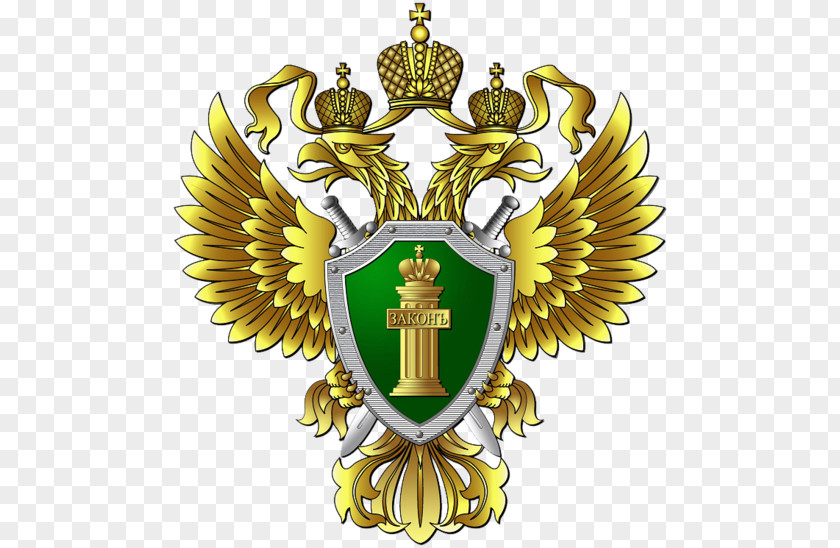 Russia Academy Of The Prosecutor General’s Office Russian Federation Public Prosecution Service General PNG