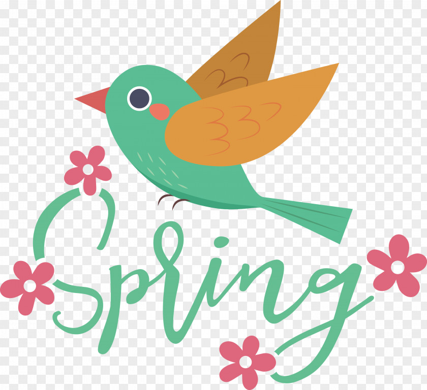 Spring Bird PNG