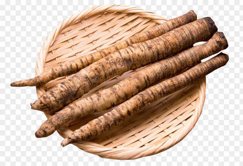 Burdock Root In Bowl Greater Seed Food Vegetable PNG