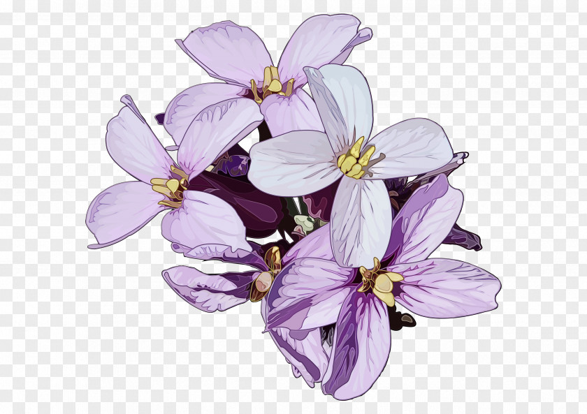 Cut Flowers Lavender PNG