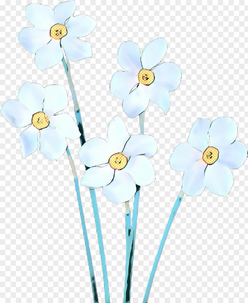 Flowering Plant Moth Orchid Cut Flowers Flower Pedicel Narcissus PNG