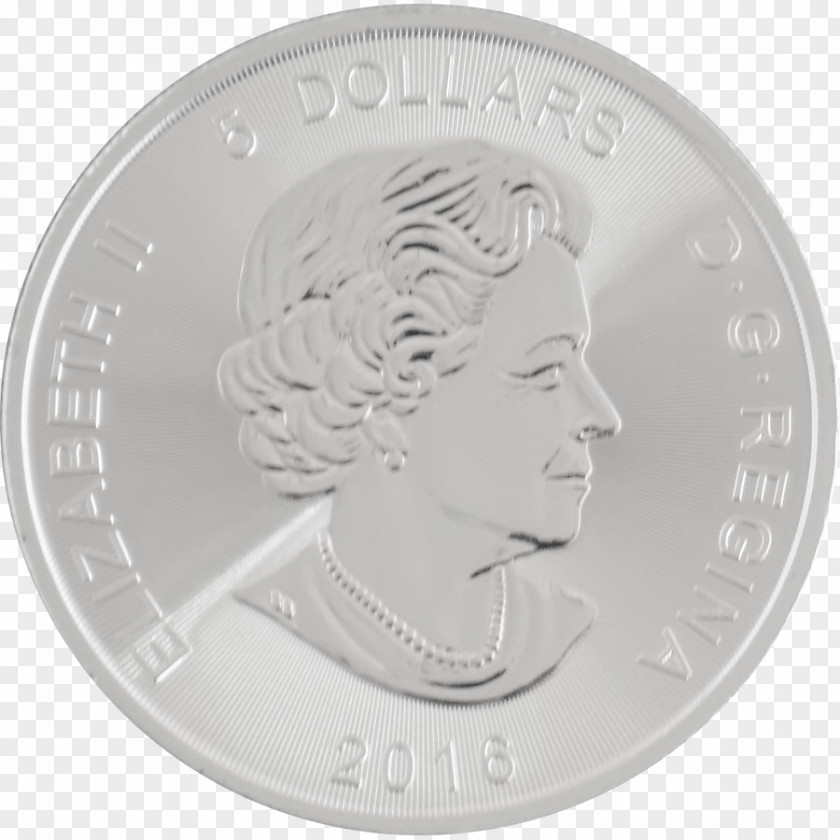 Metal Coin Silver PNG
