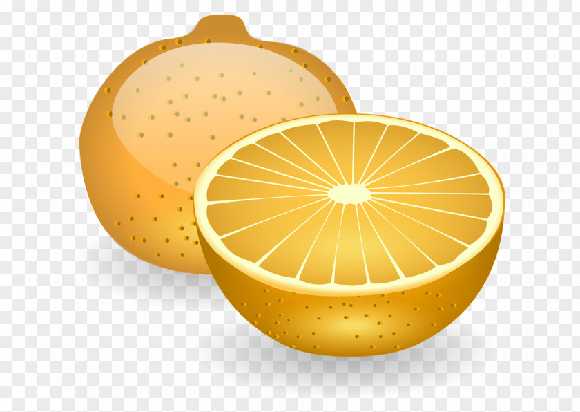 Rangpur Pomelo Cartoon Lemon PNG