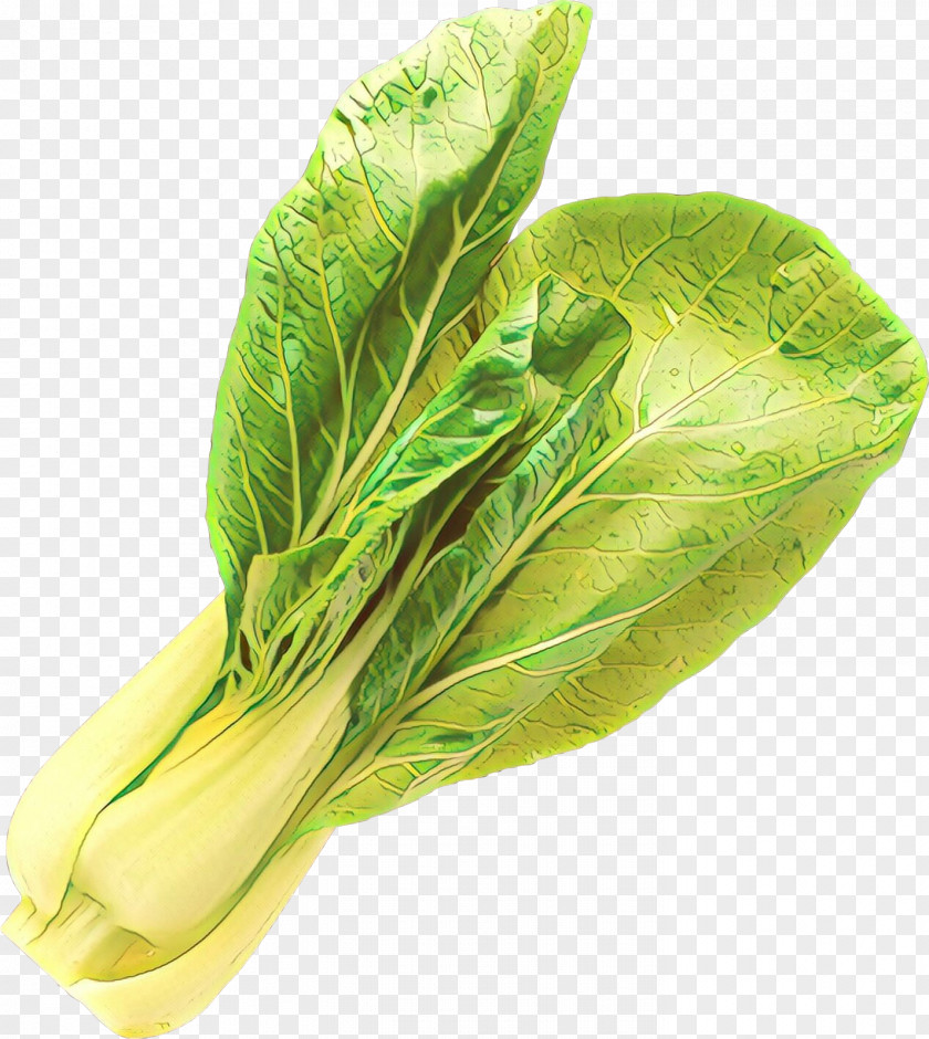 Tatsoi Romaine Lettuce Leaf Vegetable Choy Sum Chard PNG