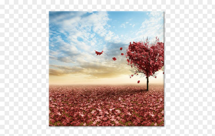 Unconditional Love Landscape Puzzles Psychology Mantra PNG