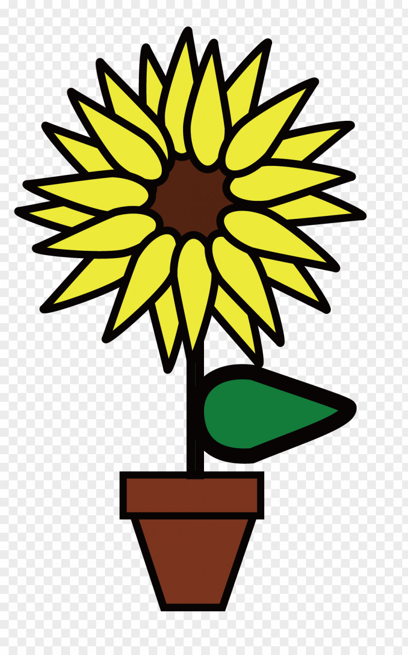 Vector Floral Flowers Common Sunflower Drawing Clip Art PNG