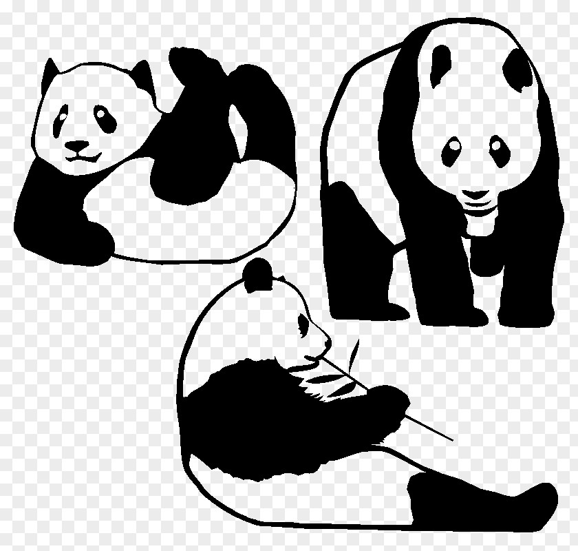 Bear Giant Panda Decal Bumper Sticker PNG