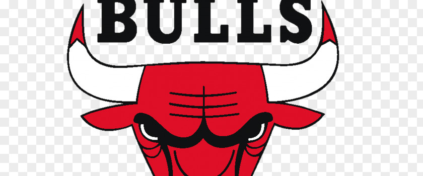 Chicago Bulls 2007 NBA Playoffs 2006–07 Season Boston Celtics 2011 PNG