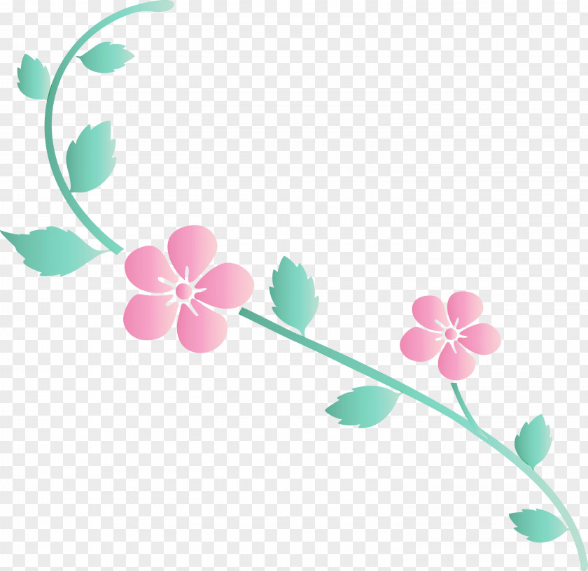 Flower Frame Decoration PNG