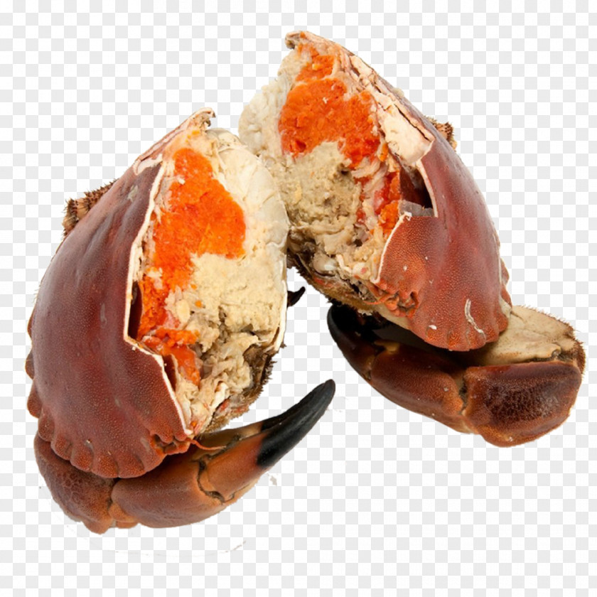 Frozen Bread Crab King Cancer Pagurus Seafood PNG