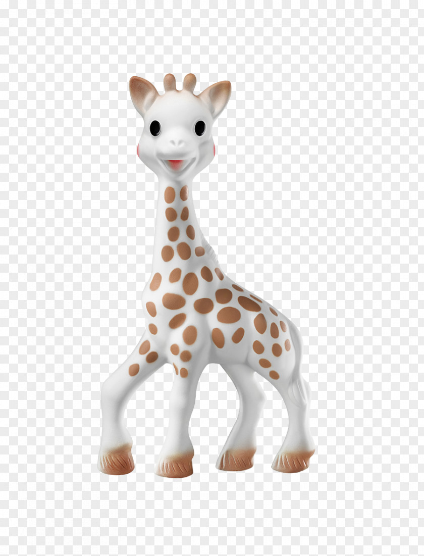 Giraffe Sophie The Teether Infant Toy Northern PNG