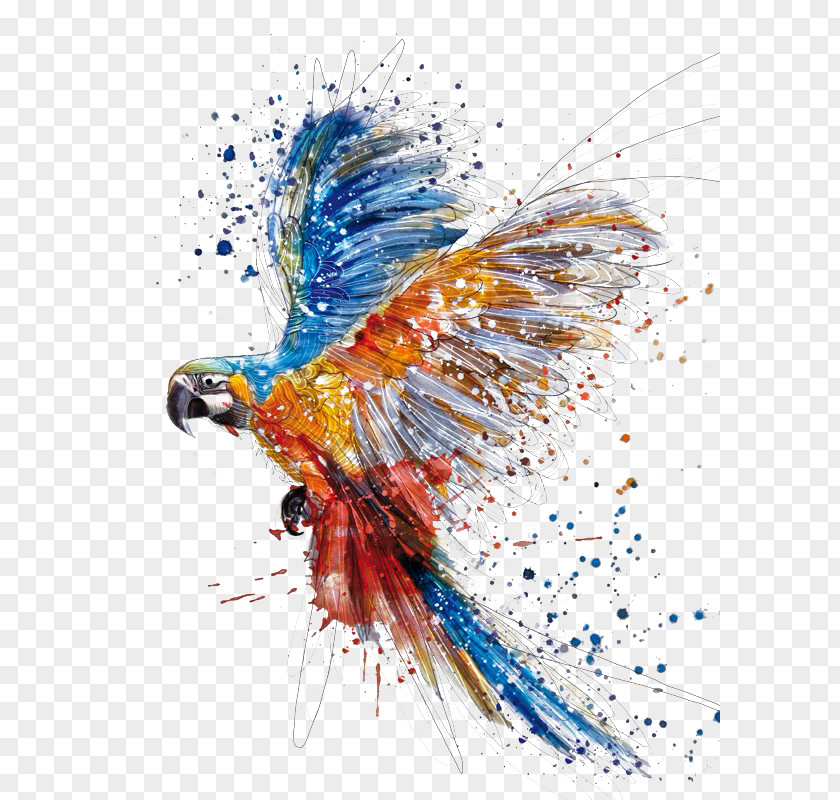 Hand Colored Parrot Birds Splash Watercolor Painting Drawing Illustration PNG