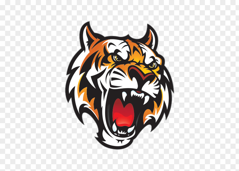 Tiger Fleetwood School District PNG