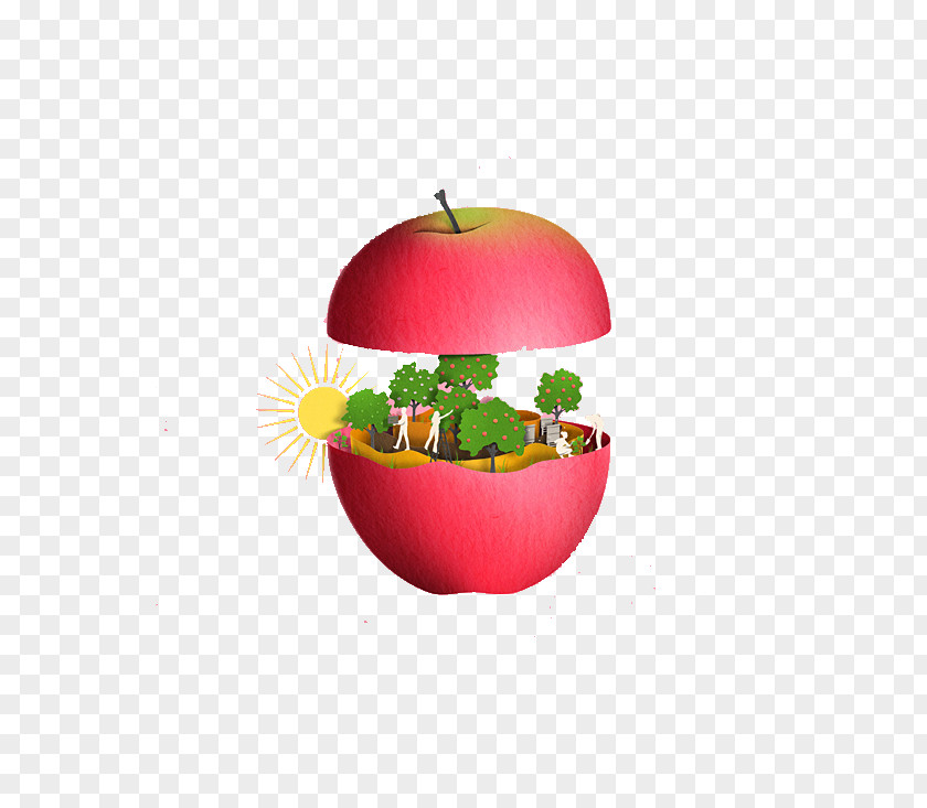 Apple Forest Icon PNG