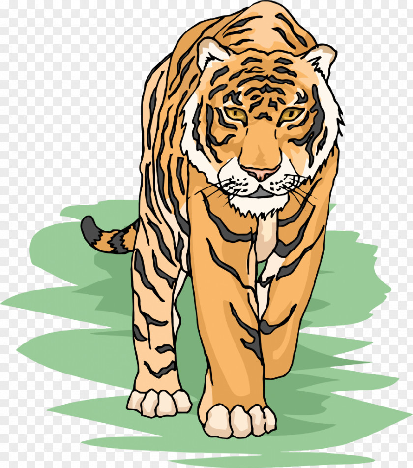 Eye Of The Tiger Clip Art Openclipart Bengal Siberian Download PNG