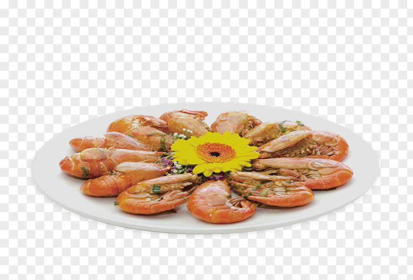 Shrimp Pizza Pasta Doner Kebab PNG