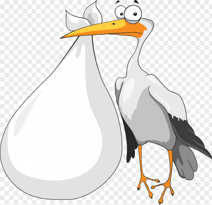 Stork Baby Ciconia Clip Art PNG