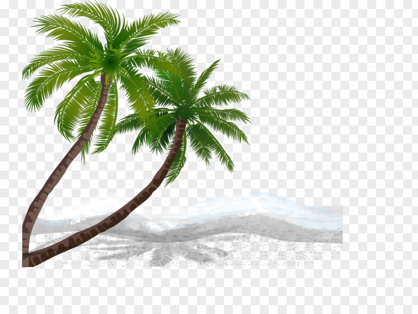 Vector Coconut Trees Beach PNG