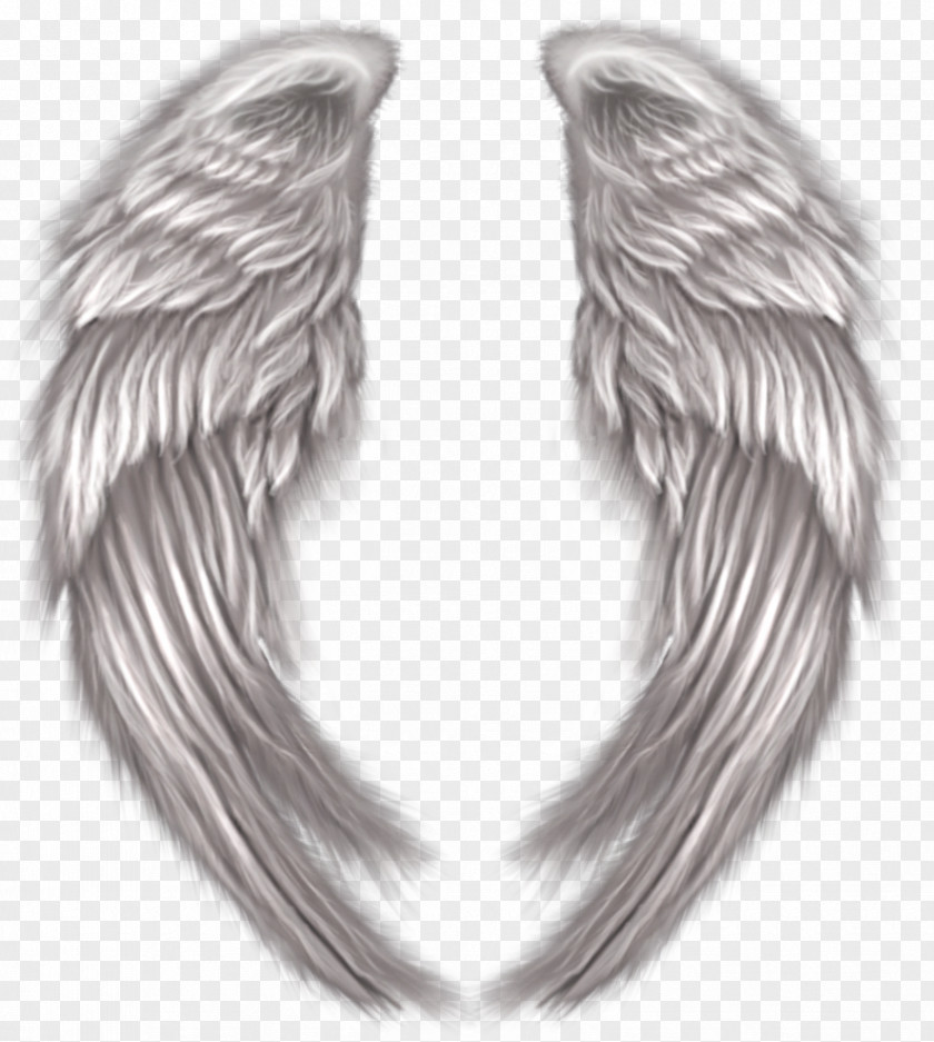 Angel Wings Clip Art PNG