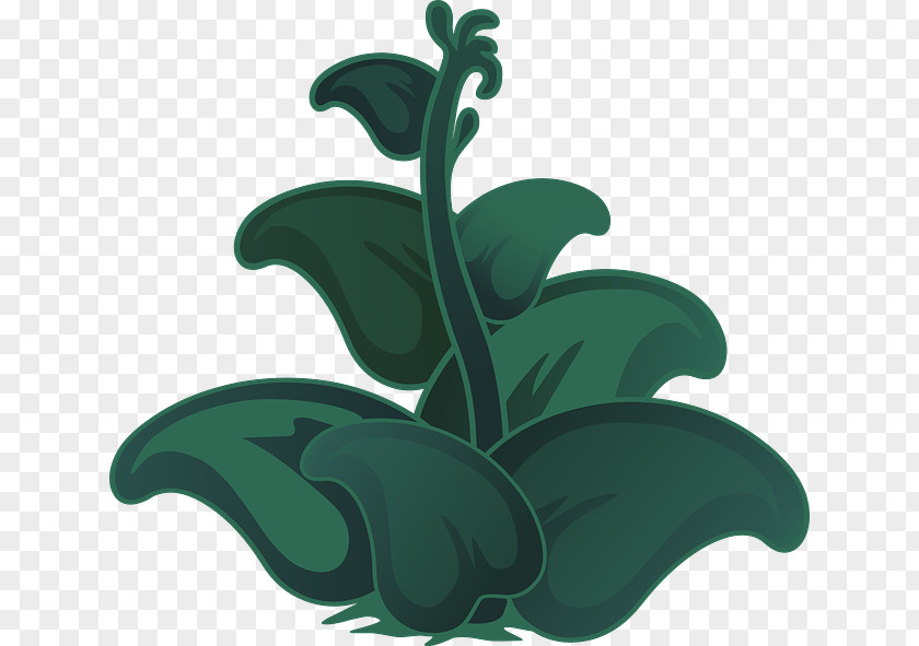 Leaf Plant Clip Art PNG