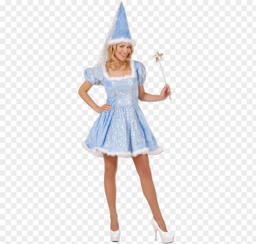 Old Ladies Disguise The Fairy With Turquoise Hair Elf Woman PNG