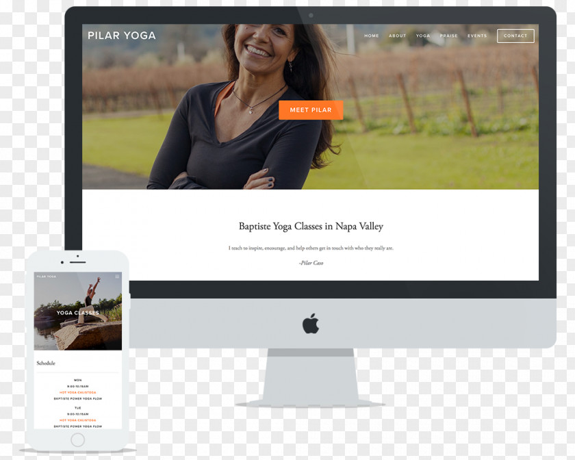 PORTFOLIO Napa County, California Web Design Advertising Squarespace PNG