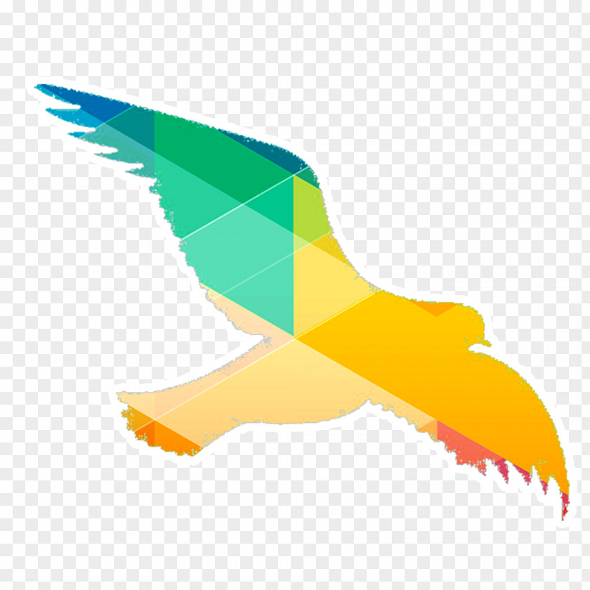 Dove Color Silhouette Material Bird PNG