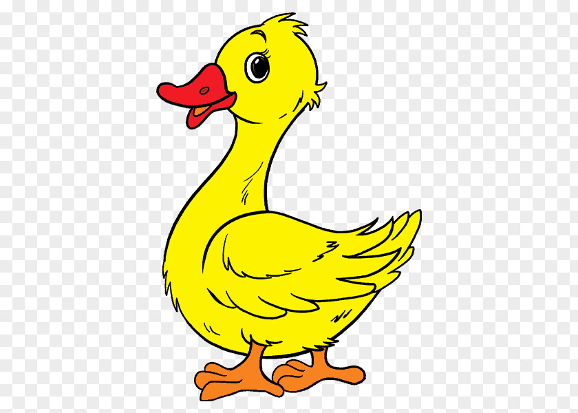 Duck Donald Drawing How-to Cartoon PNG