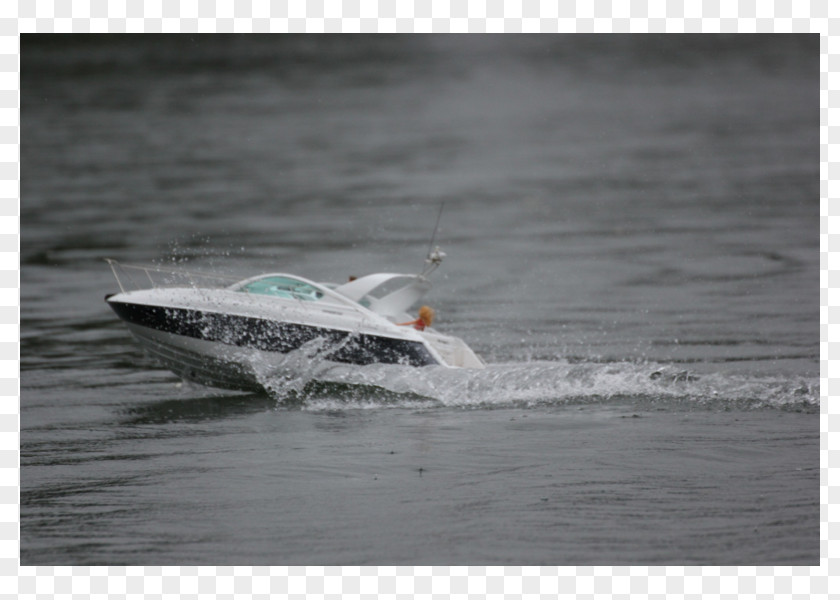 Motor Boats Plant Community Boating PNG